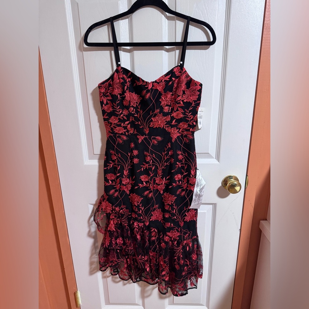 Dress the Population Black Dress with Red Floral Embroidery